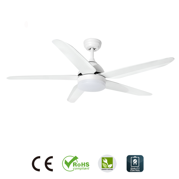 CEILING FAN